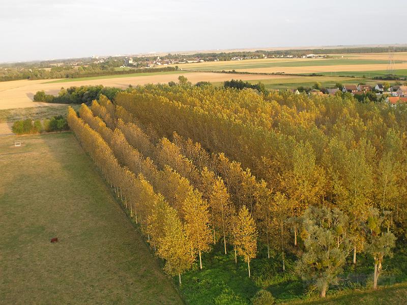 mongolfiere bruno 120.jpg